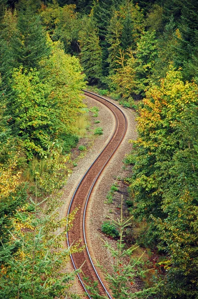 stock image Forest railroad