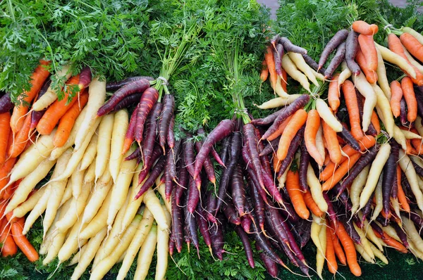 stock image Colorful winter carrots