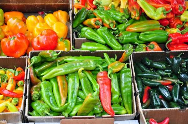 Boxes of peppers — Stock Photo, Image