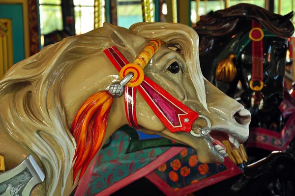 Cavalo de carrossel de madeira — Fotografia de Stock