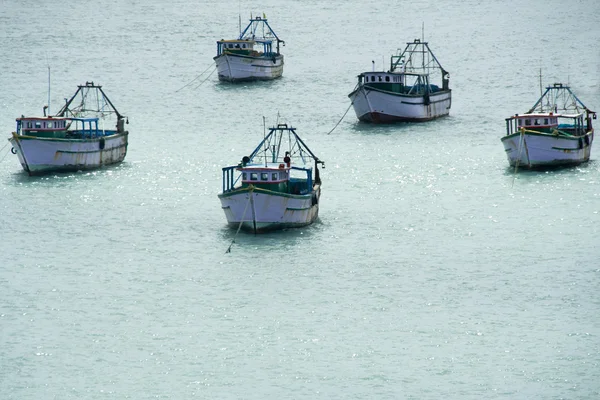 stock image Fleet of Ships