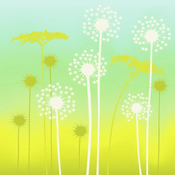 Fond floral, pissenlit — Image vectorielle