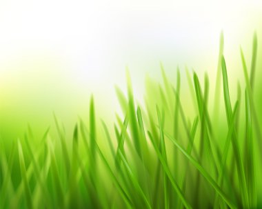 Grass. Vector illustration. clipart