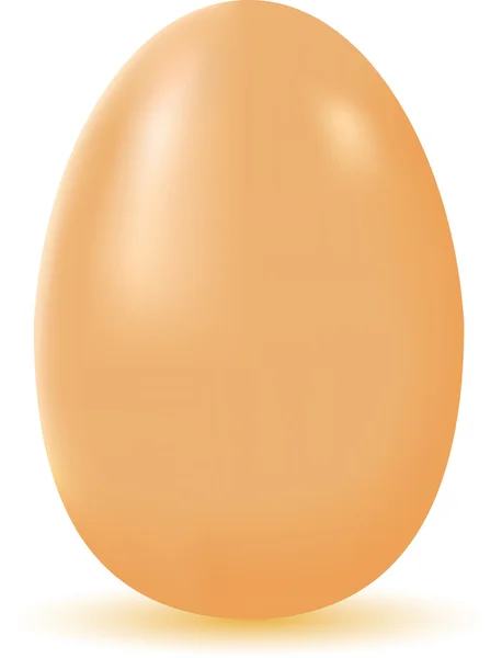 Ilustração do ovo — Fotografia de Stock