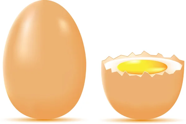 Vajíčko ilustrace — Stock fotografie