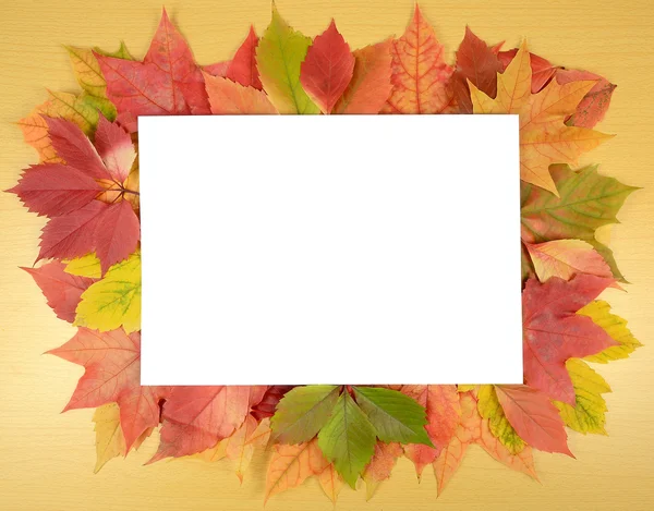 Folhas de outono e folha de papel — Fotografia de Stock