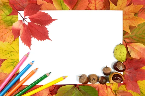 Folhas de outono lápis e folha de papel — Fotografia de Stock