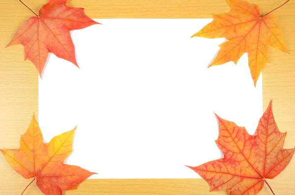 Podzimní listí a list papíru — Stock fotografie