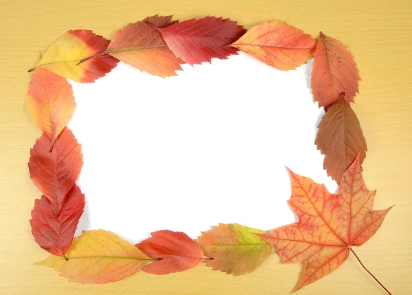 Осенние листья и лист бумаги — стоковое фото