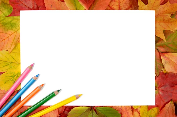 Jesienne liście, ołówki i arkusz papieru — Zdjęcie stockowe