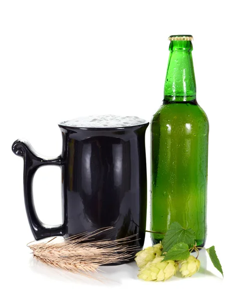 Bier und Hopfen — Stockfoto