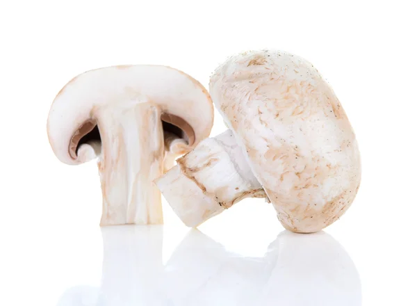 香菇 — 图库照片