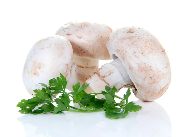 Champignon mushroom and parsley — Stock Photo, Image