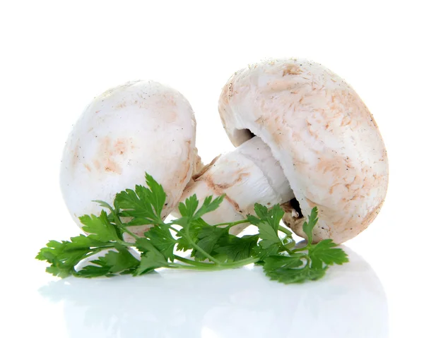 Cogumelo de champignon e salsa — Fotografia de Stock