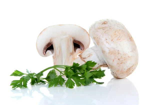 Champignon mushroom and parsley — Stock Photo, Image