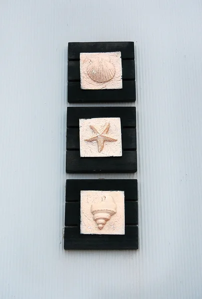 Sea shells ornaments — Stock Photo, Image