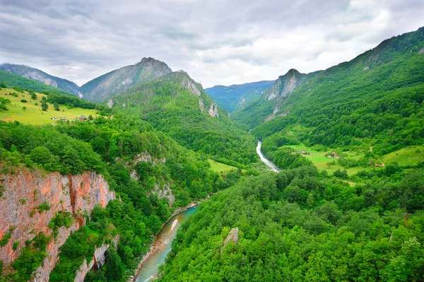 Каньон реки Тары в Черногории — стоковое фото