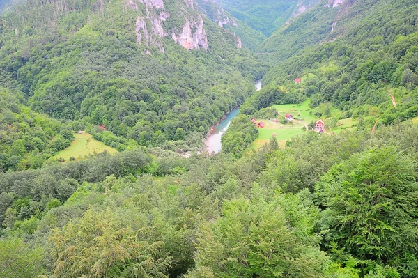 Canyon van de rivier de tara in montenegro — Stockfoto