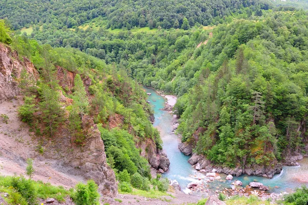 Nehir kanyonun tara Karadağ — Stok fotoğraf