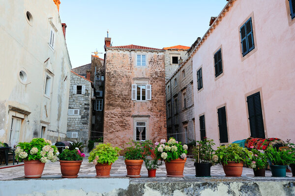 Old houses and pot flowers in the foreground in Dubrovnik, Croatia