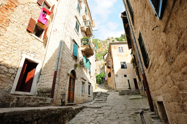 Street of the ancient town of Kotor — Stock Photo, Image