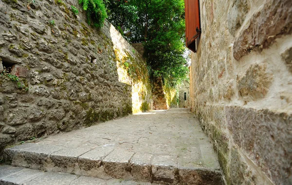 Muren van de oude fortificatie in kotor — Stockfoto
