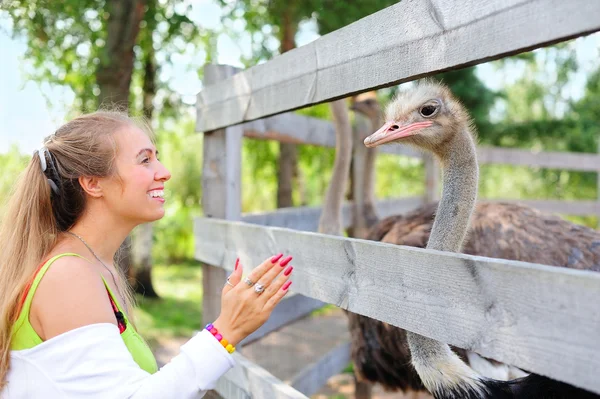 Girl communicating to an ostrich — Stock Photo, Image