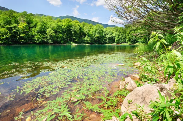 stock image Lake in the national park