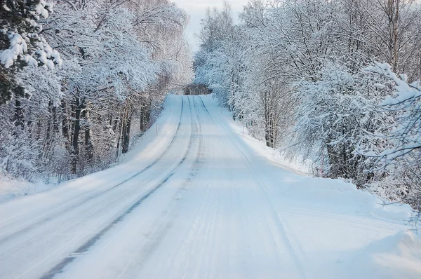 Дорога зимой — стоковое фото
