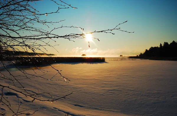 Slunečné Zimní krajina — Stock fotografie