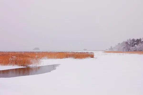 Frozen lake — Stock Photo, Image