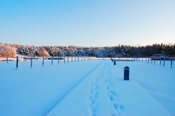 Steiger in de winter — Stockfoto
