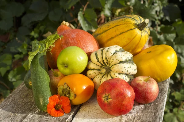 Efterår grøntsager og frugter kollektion - Stock-foto