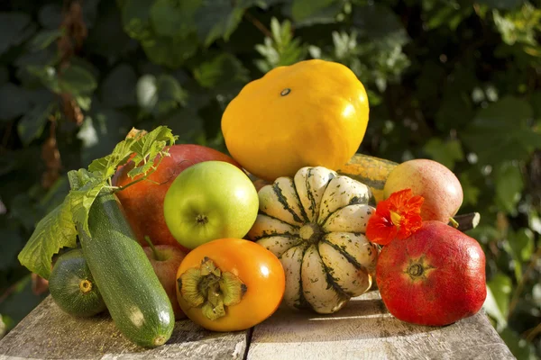 Coleta de legumes e frutas de outono — Fotografia de Stock