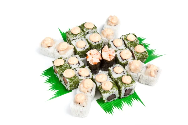 Набор суши - различные виды суши и рулонов маки — стоковое фото
