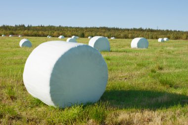 Hay is packed into a white material clipart