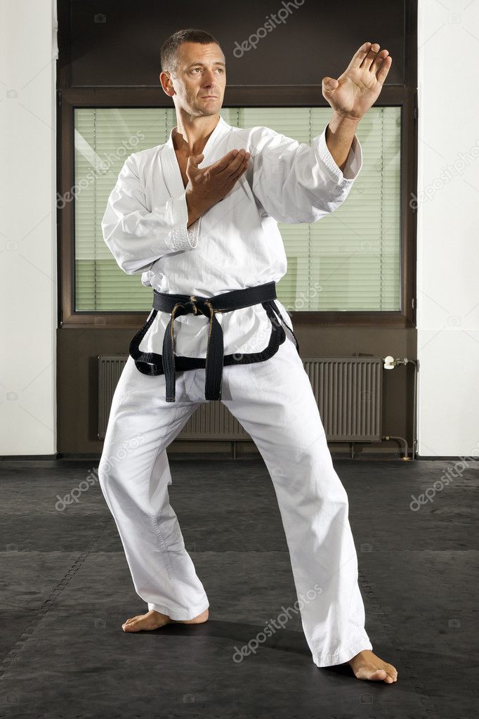 Martial arts master