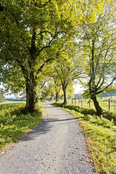 Herbstliche Szenerie — Stockfoto