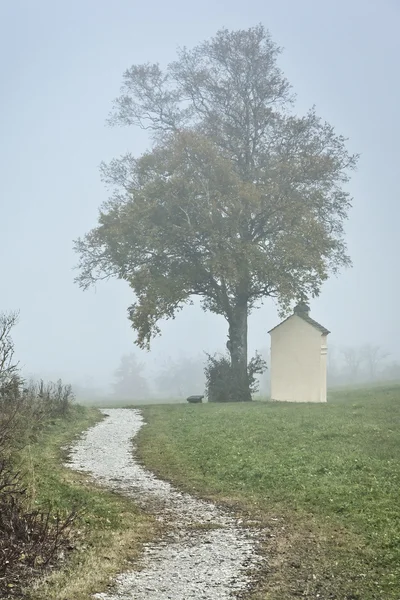 Nebel. — Foto de Stock