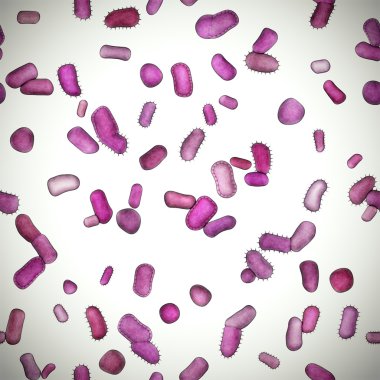 Bacteria clipart