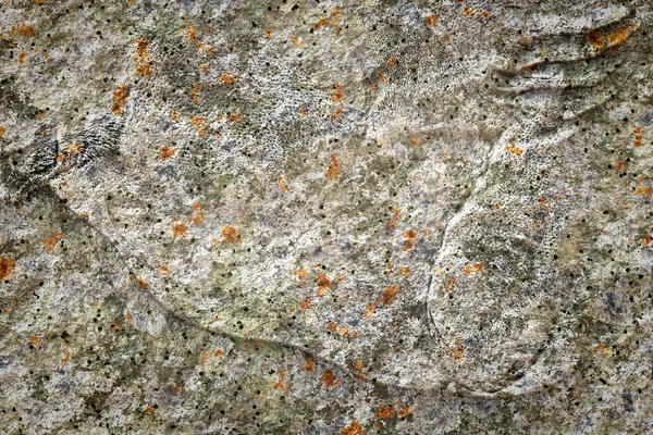 Old stone lichen background — Stock Photo, Image