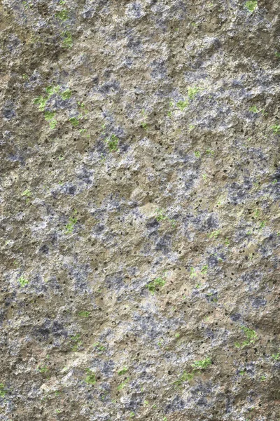 Old stone lichen background — Stock Photo, Image