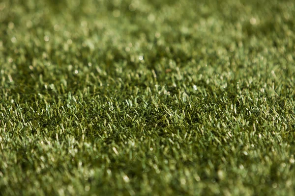 Grass close up — Stock Photo, Image