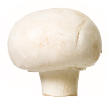 Mushroom clipart