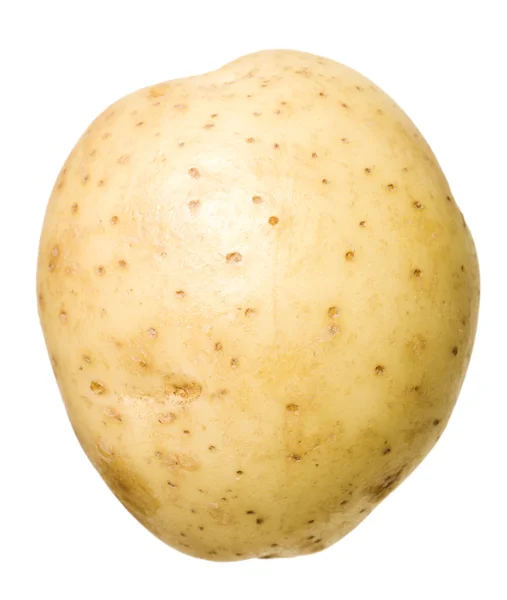 Raw Potato — Stock Photo, Image