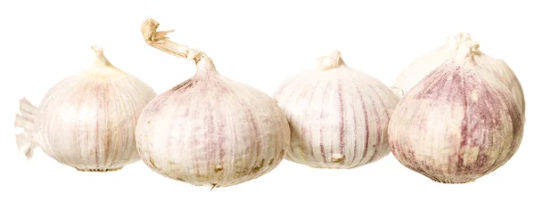 Bunch of Garlic — Stock Photo, Image