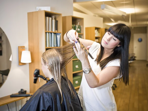 Hair salon helyzet — Stock Fotó