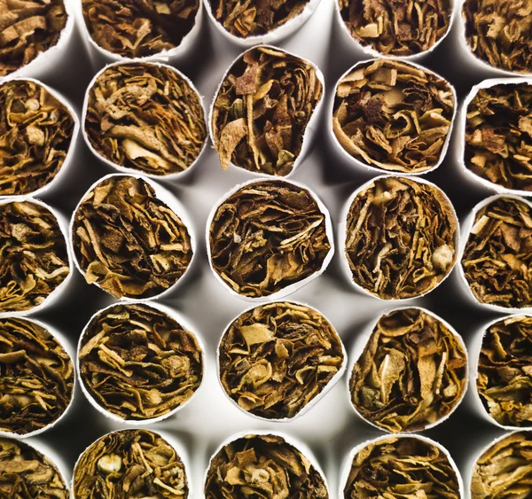 Cigarettes full frame — Stock Photo, Image