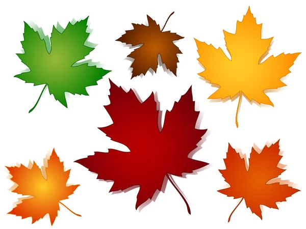 Maple leaves fall color options — Stock Vector