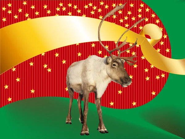 Rendieren caribou op funky Kerstmis achtergrond — Stockfoto